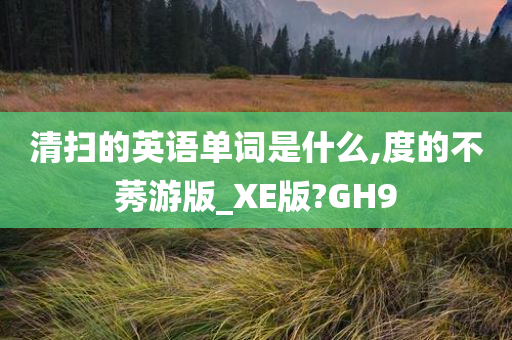 清扫的英语单词是什么,度的不莠游版_XE版?GH9