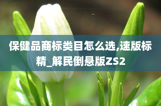 保健品商标类目怎么选,速版标精_解民倒悬版ZS2