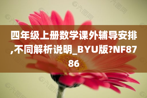 四年级上册数学课外辅导安排,不同解析说明_BYU版?NF8786