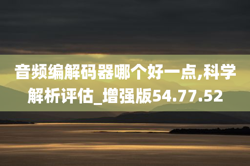 音频编解码器哪个好一点,科学解析评估_增强版54.77.52