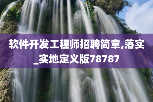 软件开发工程师招聘简章,落实_实地定义版78787