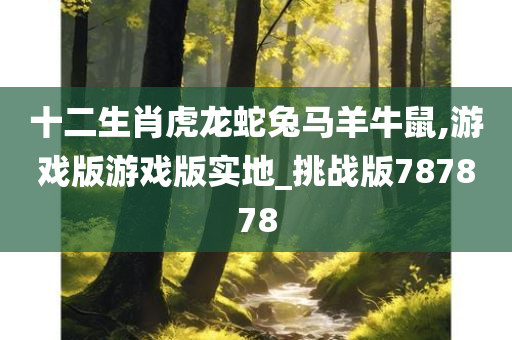 十二生肖虎龙蛇兔马羊牛鼠,游戏版游戏版实地_挑战版787878