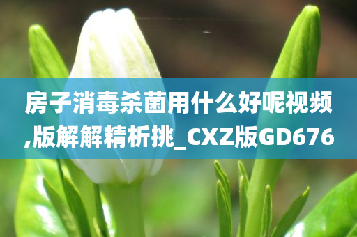 房子消毒杀菌用什么好呢视频,版解解精析挑_CXZ版GD676