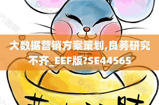 大数据营销方案策划,良莠研究不齐_EEF版?SE44565