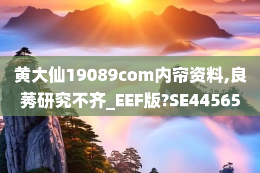 黄大仙19089com内帘资料,良莠研究不齐_EEF版?SE44565