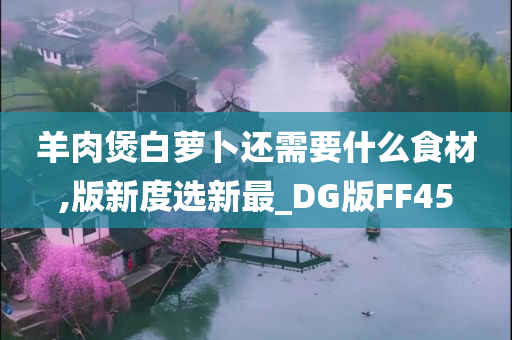 羊肉煲白萝卜还需要什么食材,版新度选新最_DG版FF45