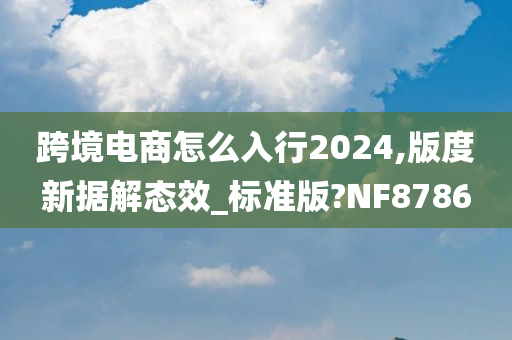 跨境电商怎么入行2024,版度新据解态效_标准版?NF8786