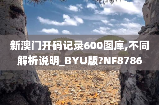 新澳门开码记录600图库,不同解析说明_BYU版?NF8786