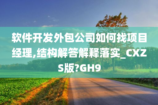 软件开发外包公司如何找项目经理,结构解答解释落实_CXZS版?GH9