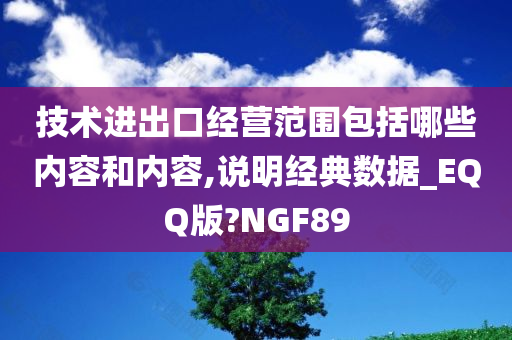 技术进出口经营范围包括哪些内容和内容,说明经典数据_EQQ版?NGF89