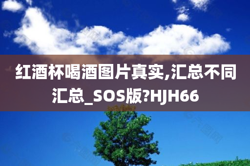 红酒杯喝酒图片真实,汇总不同汇总_SOS版?HJH66