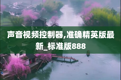 声音视频控制器,准确精英版最新_标准版888