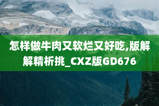 怎样做牛肉又软烂又好吃,版解解精析挑_CXZ版GD676