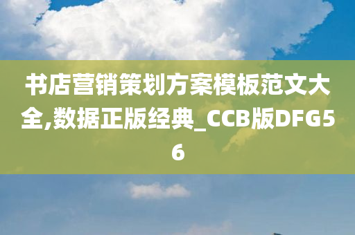 书店营销策划方案模板范文大全,数据正版经典_CCB版DFG56