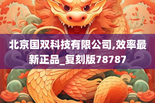 北京国双科技有限公司,效率最新正品_复刻版78787