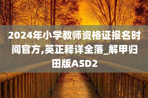 2024年小学教师资格证报名时间官方,英正释详全落_解甲归田版ASD2