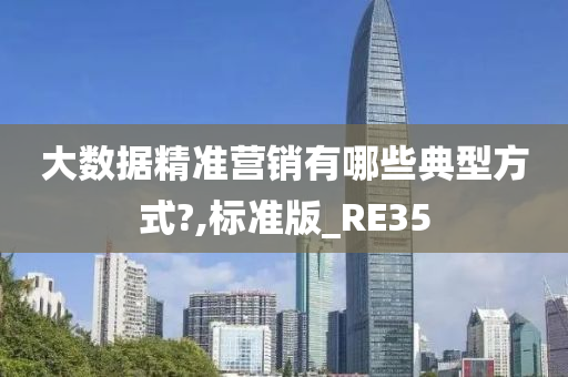 大数据精准营销有哪些典型方式?,标准版_RE35