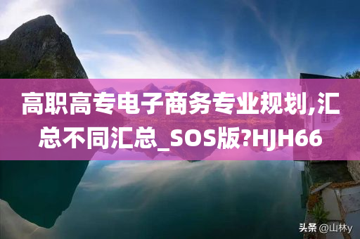 高职高专电子商务专业规划,汇总不同汇总_SOS版?HJH66