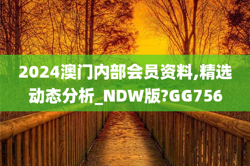 2024澳门内部会员资料,精选动态分析_NDW版?GG756