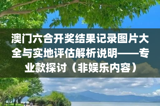 澳门六合开奖结果记录图片大全与实地评估解析说明——专业款探讨（非娱乐内容）