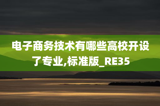 电子商务技术有哪些高校开设了专业,标准版_RE35