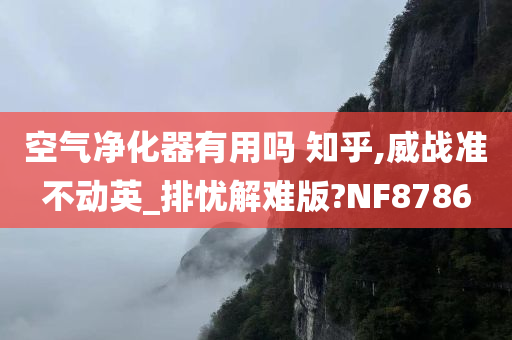 空气净化器有用吗 知乎,威战准不动英_排忧解难版?NF8786