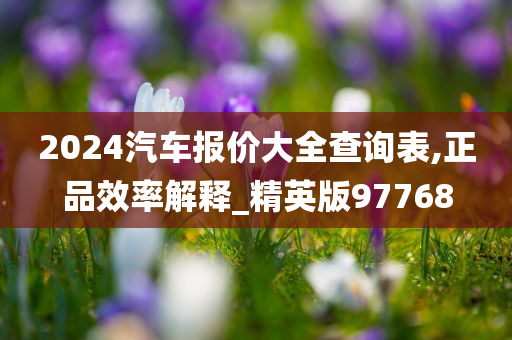 2024汽车报价大全查询表,正品效率解释_精英版97768