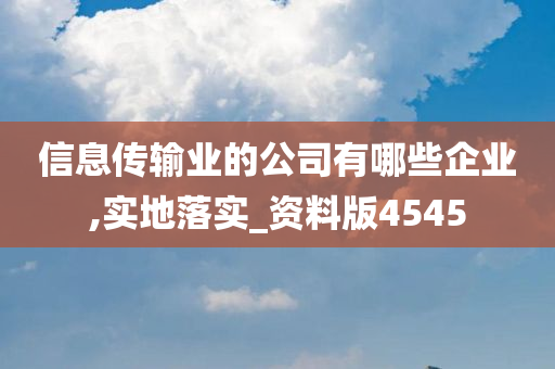 信息传输业的公司有哪些企业,实地落实_资料版4545