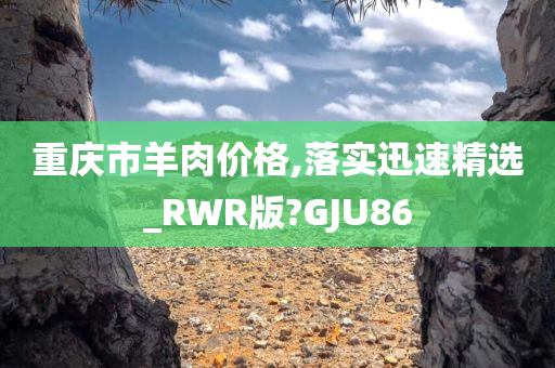 重庆市羊肉价格,落实迅速精选_RWR版?GJU86