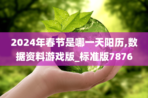 2024年春节是哪一天阳历,数据资料游戏版_标准版7876