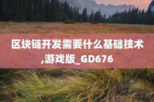 区块链开发需要什么基础技术,游戏版_GD676