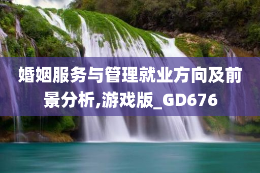 婚姻服务与管理就业方向及前景分析,游戏版_GD676