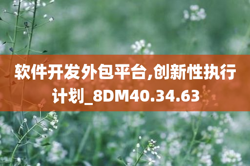 软件开发外包平台,创新性执行计划_8DM40.34.63