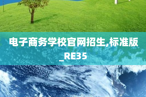 电子商务学校官网招生,标准版_RE35