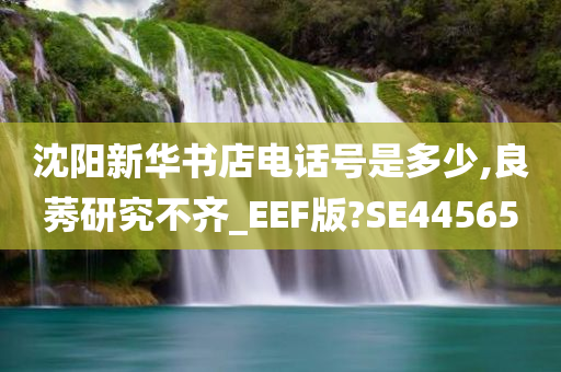 沈阳新华书店电话号是多少,良莠研究不齐_EEF版?SE44565