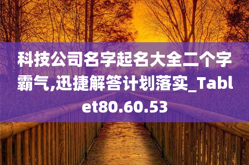 科技公司名字起名大全二个字霸气,迅捷解答计划落实_Tablet80.60.53