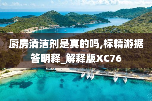 厨房清洁剂是真的吗,标精游据答明释_解释版XC76