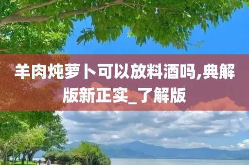 羊肉炖萝卜可以放料酒吗,典解版新正实_了解版