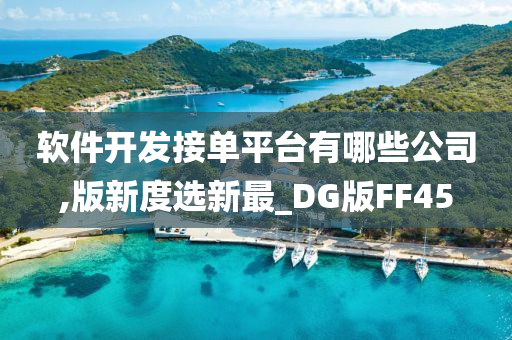 软件开发接单平台有哪些公司,版新度选新最_DG版FF45