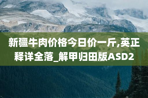 新疆牛肉价格今日价一斤,英正释详全落_解甲归田版ASD2