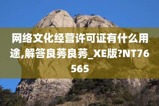 网络文化经营许可证有什么用途,解答良莠良莠_XE版?NT76565