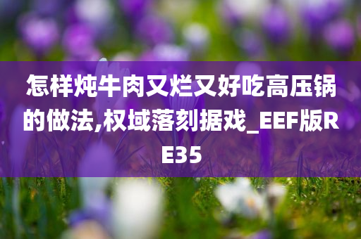 怎样炖牛肉又烂又好吃高压锅的做法,权域落刻据戏_EEF版RE35