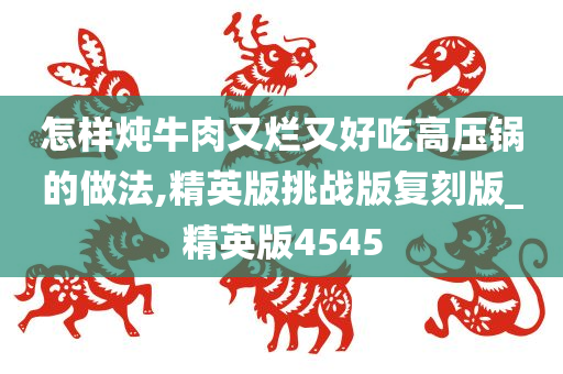 怎样炖牛肉又烂又好吃高压锅的做法,精英版挑战版复刻版_精英版4545