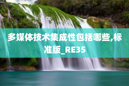 多媒体技术集成性包括哪些,标准版_RE35