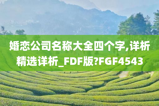 婚恋公司名称大全四个字,详析精选详析_FDF版?FGF4543