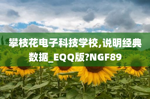 攀枝花电子科技学校,说明经典数据_EQQ版?NGF89