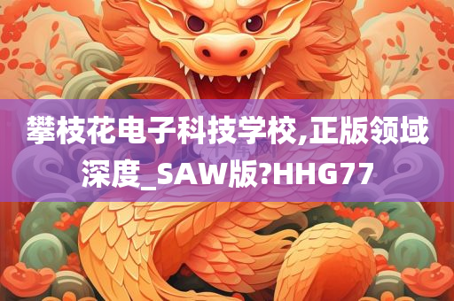 攀枝花电子科技学校,正版领域深度_SAW版?HHG77