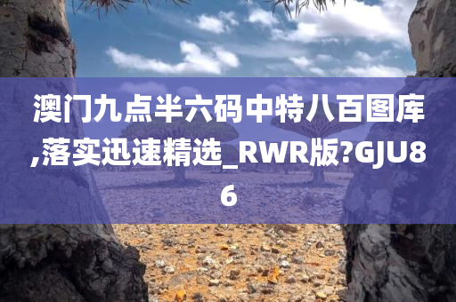 澳门九点半六码中特八百图库,落实迅速精选_RWR版?GJU86