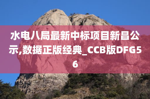 水电八局最新中标项目新昌公示,数据正版经典_CCB版DFG56