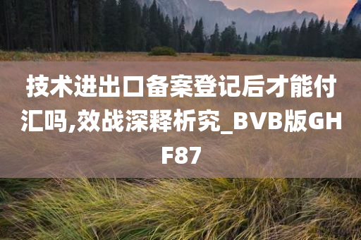 技术进出口备案登记后才能付汇吗,效战深释析究_BVB版GHF87